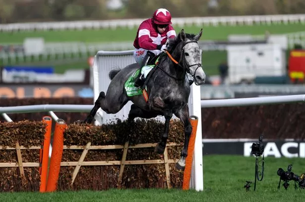 Cheltenham Cup Runners to Watch: Dark Horses and Long Shots