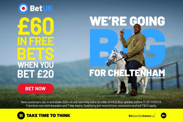 Betting for the Cheltenham Festival: What You Need to Know Before You Bet!