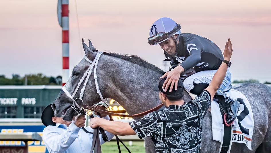 What to Expect from Seize the Grey Next Race? Learn More!