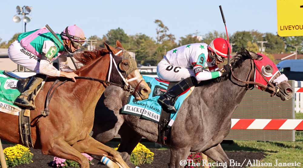 Top Jockeys at Parx: Who Are the Best Riders to Watch?