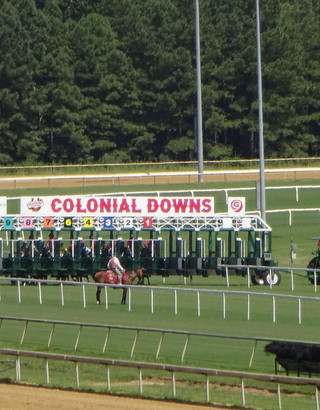 Want to Know About Attendance at Colonial Downs Race Track? Get All the Details!