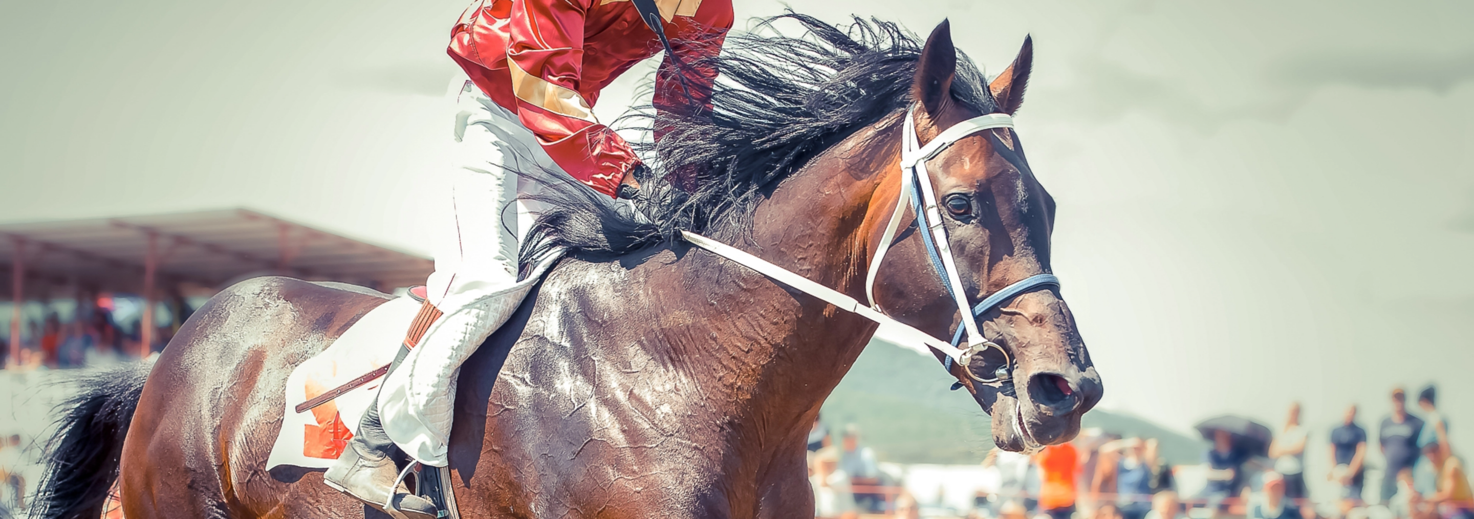 Looking for the Thistledown Race Track Schedule? Weve Got You Covered, Find the Best Days to Go