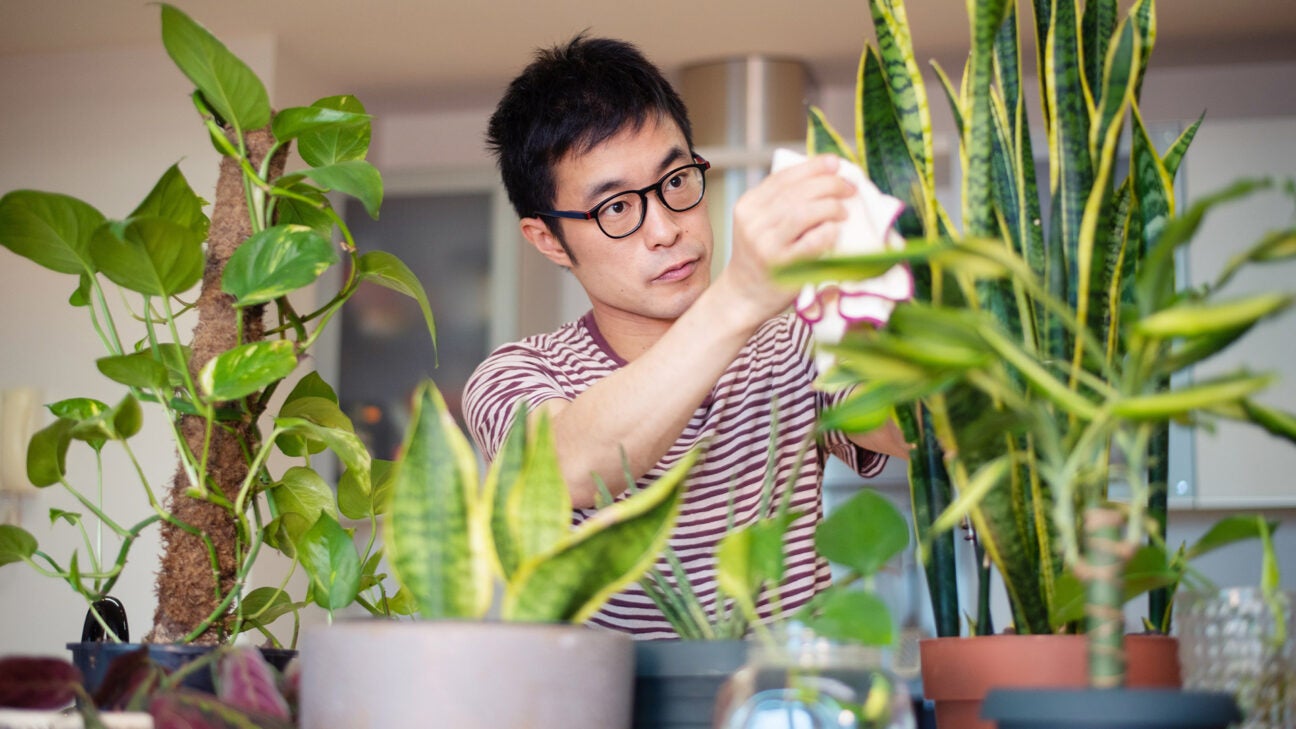 Hanf Uses: Surprising Ways This Plant Can Improve Your Life and the World Around Us