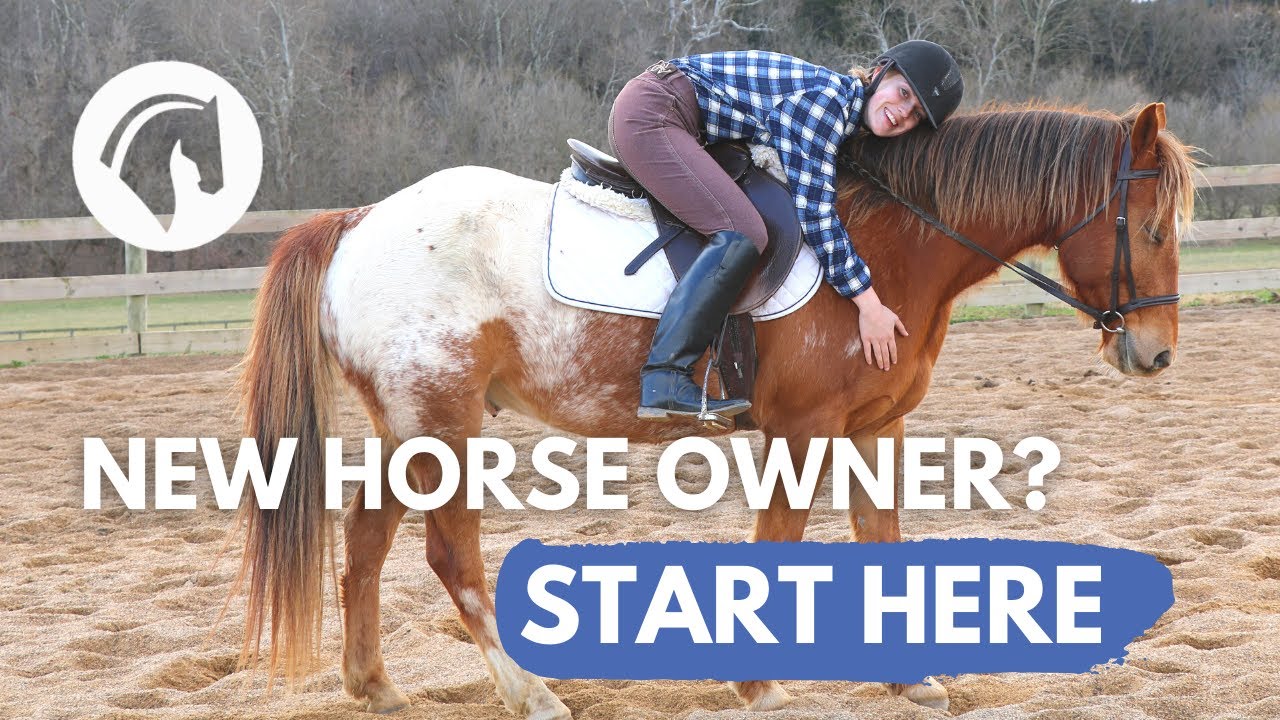 New Horse Owner Guide: Simple Tips for First-Time Equine Care