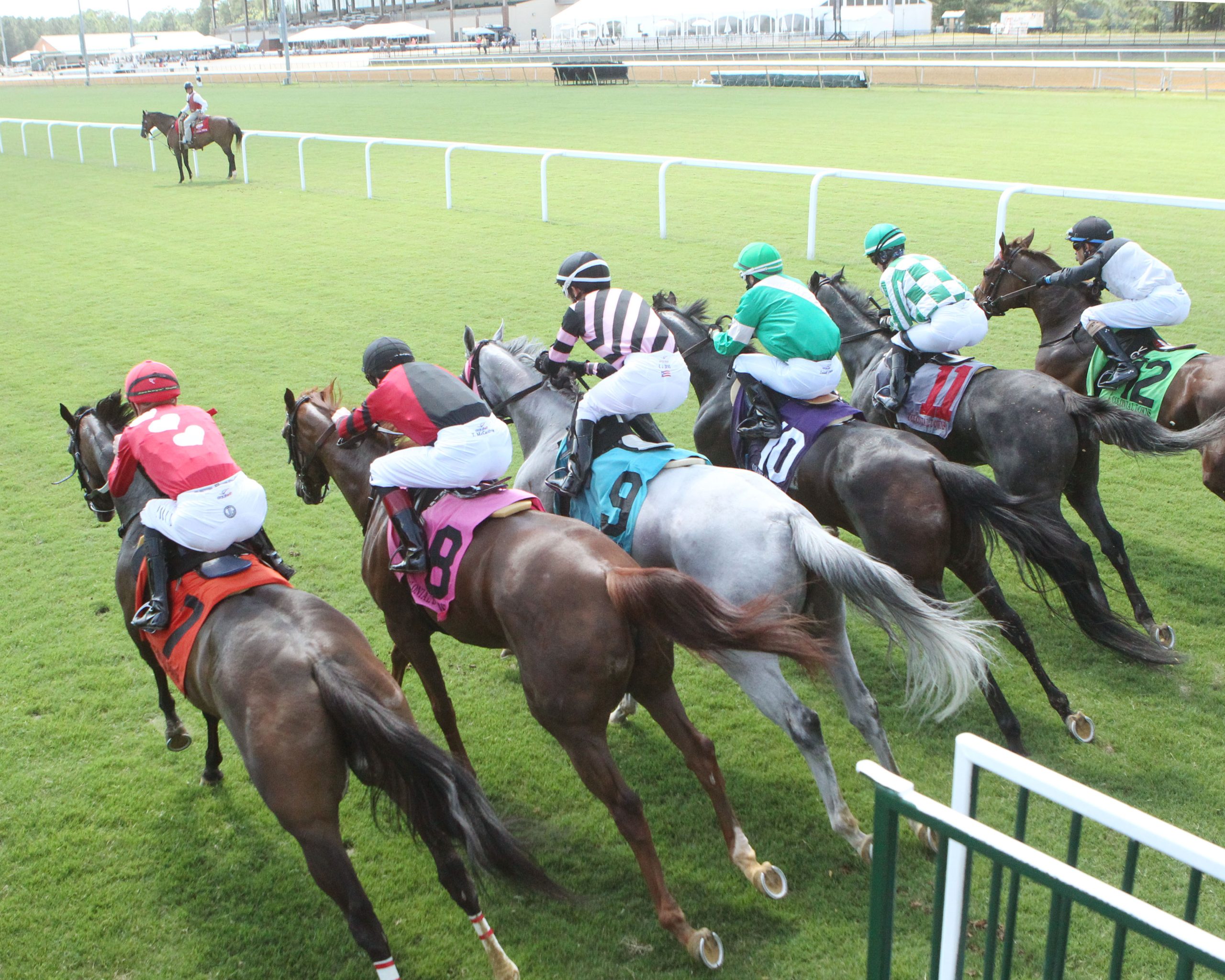 Want to Know About Attendance at Colonial Downs Race Track? Get All the Details!