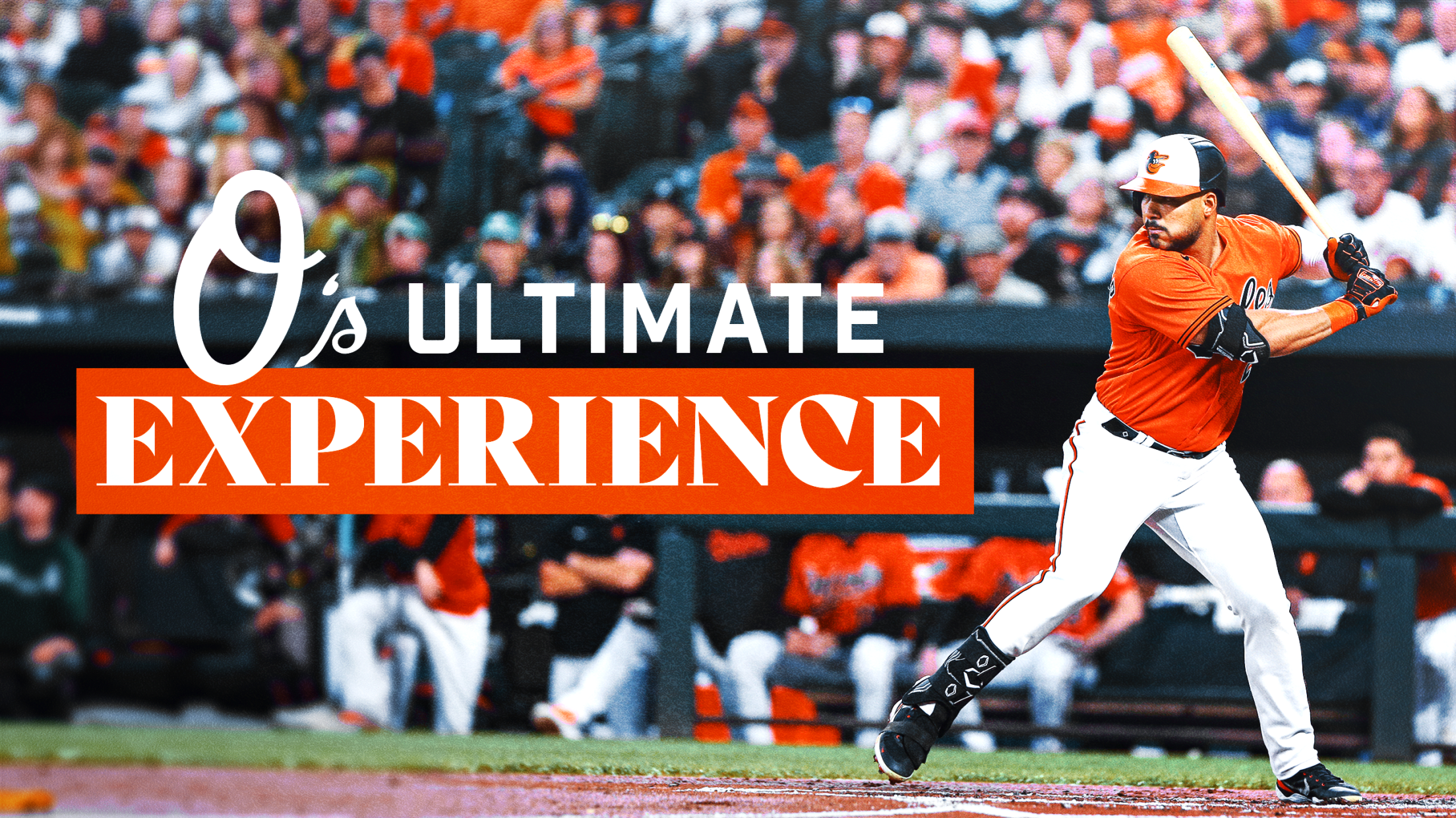 Get Your Baltimore Orioles Baseball Merchandise: The Ultimate Fan Guide