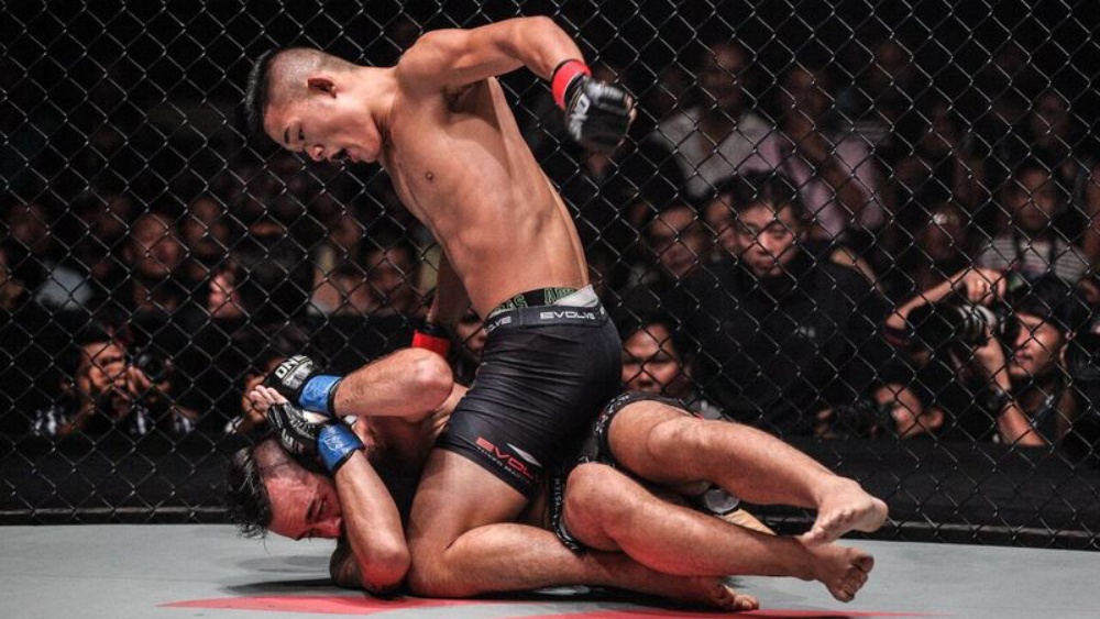 UFC Ground and Pound: Simple Guide for Beginners to Master the Basics.
