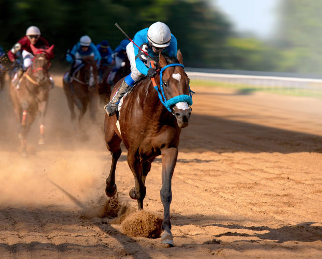 Looking for the Thistledown Race Track Schedule? Weve Got You Covered, Find the Best Days to Go