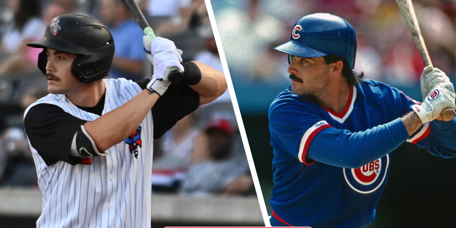 Preston Palmeiro: Everything you need to know about the rising baseball player and how he started