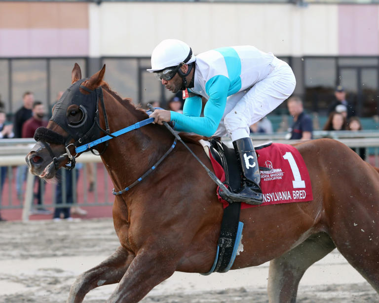 Top Jockeys at Parx: Who Are the Best Riders to Watch?