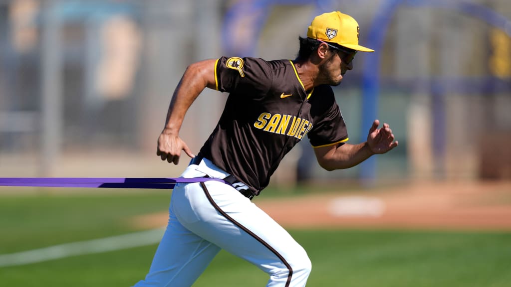 Pitchers Catchers Report 2024: Get the Latest Spring Training News and Updates!