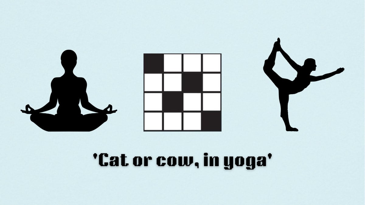 Cat or Cow in Yoga NYT: Simple Guide for Beginners and Yogis of All Levels