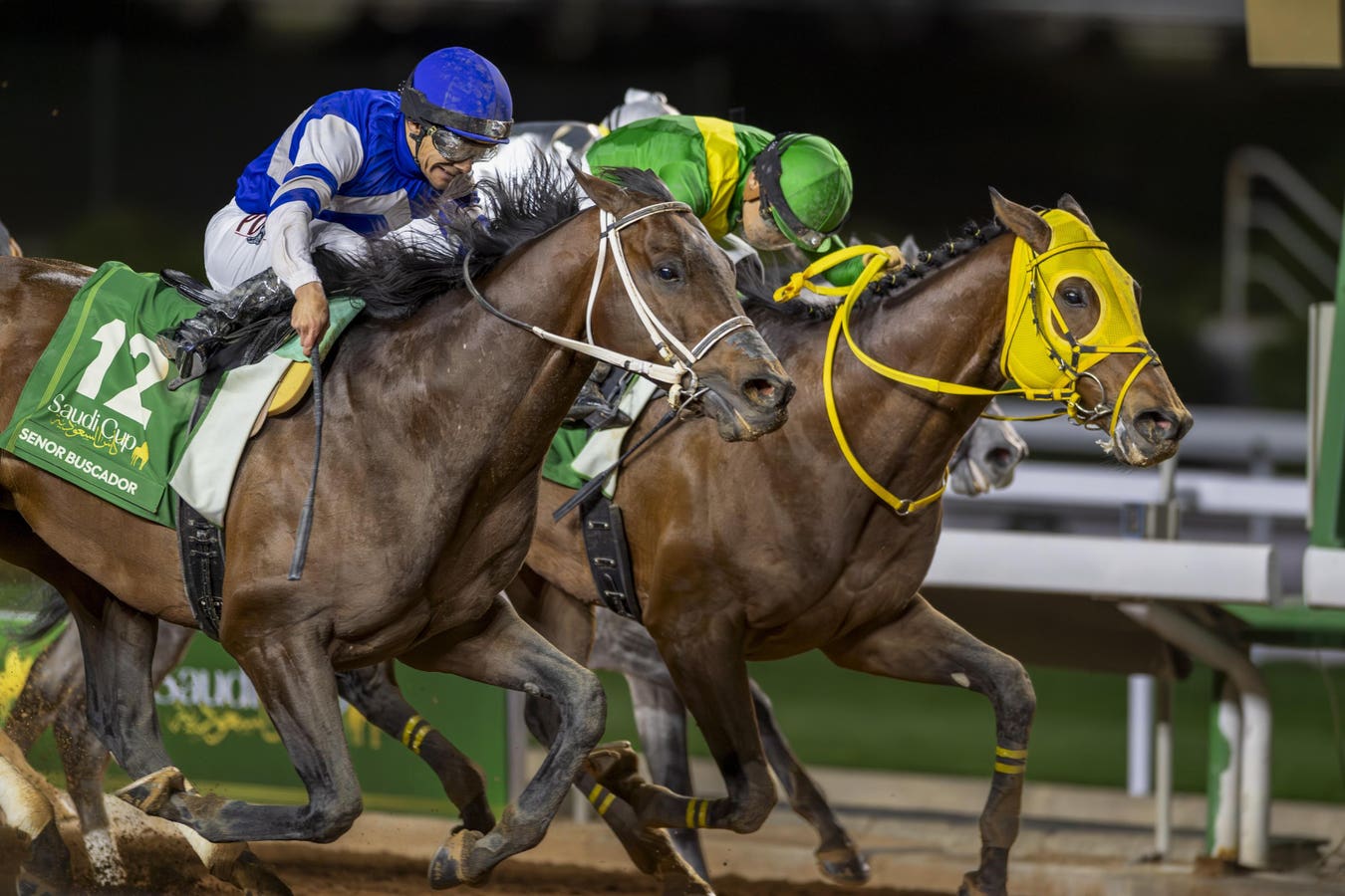 Saudi Cup Horse Race Results: Who Won the Richest Race in the World