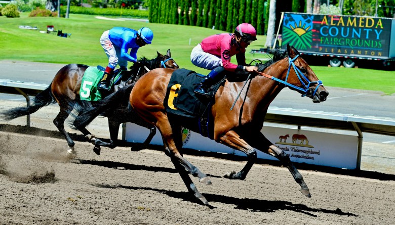Pleasanton Horse Racing Schedule: Find Out When the Next Big Race Is Happening
