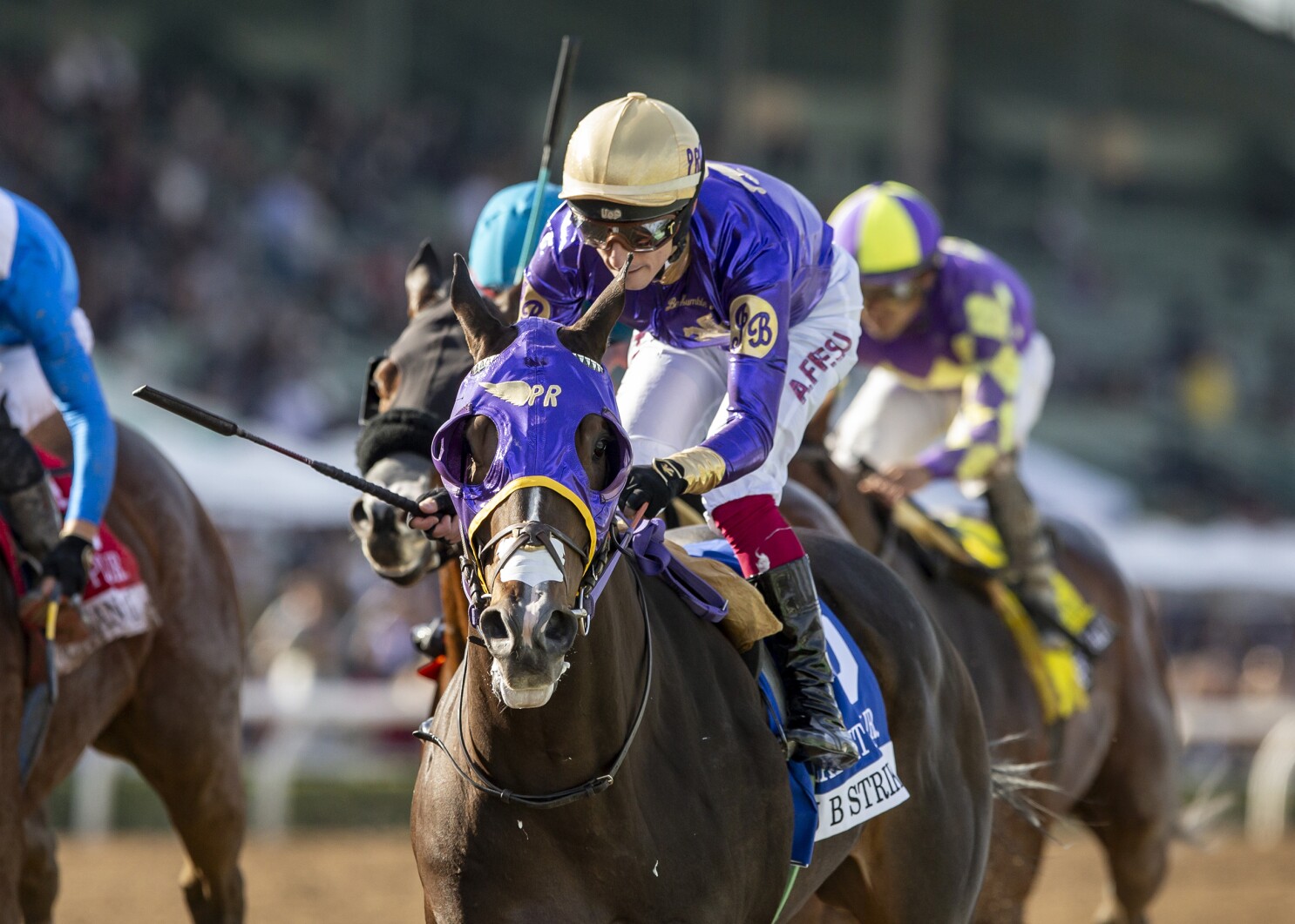 Fierceness Leads Kentucky Derby Odds: Breaking Down the 5-2 Morning Line Favorite
