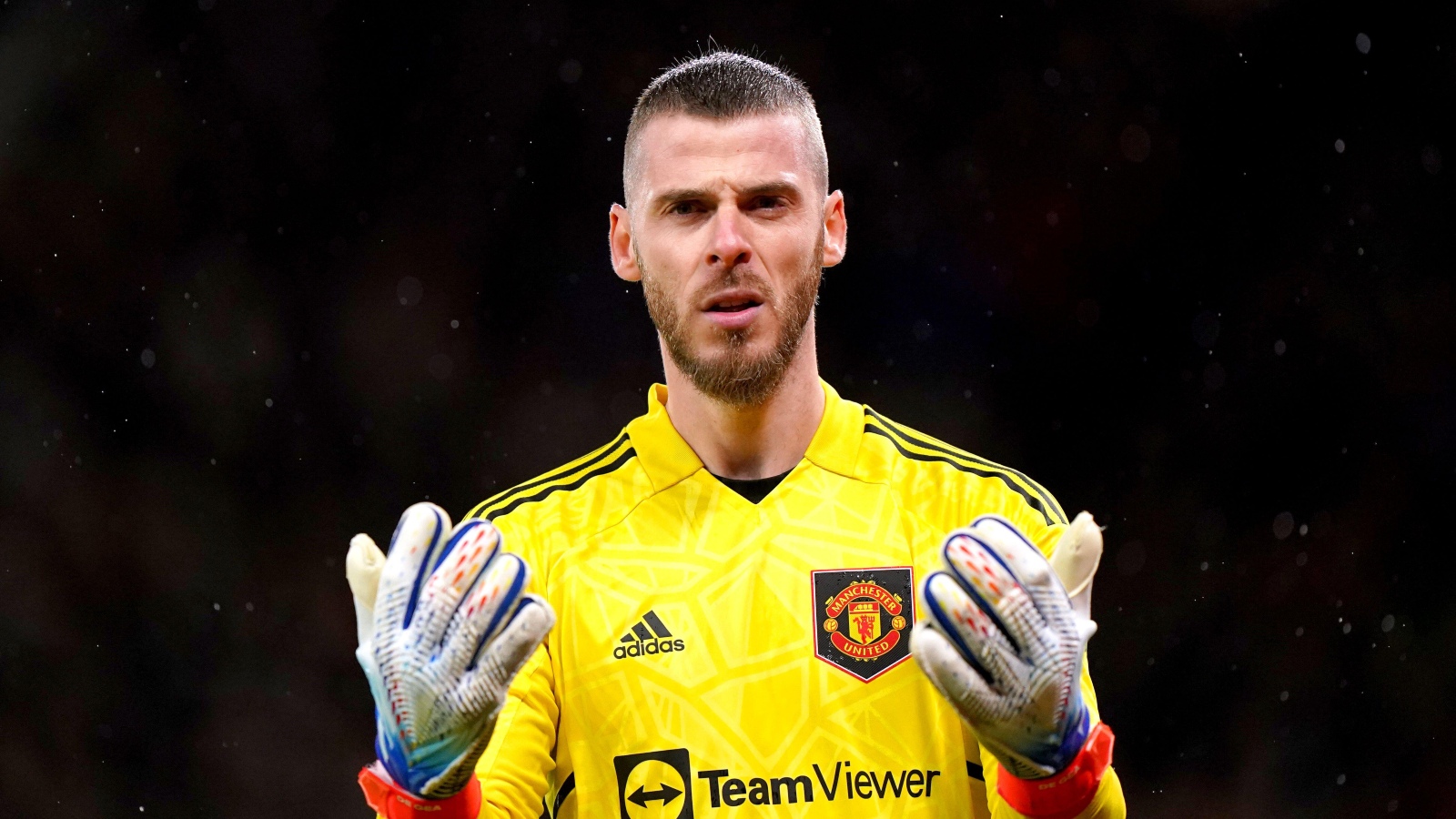 MUFC Goalkeepers: Who Is The Best ? (Ranking Manchester Uniteds Current Keepers)