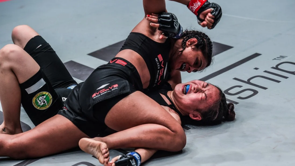 UFC Ground and Pound: Simple Guide for Beginners to Master the Basics.