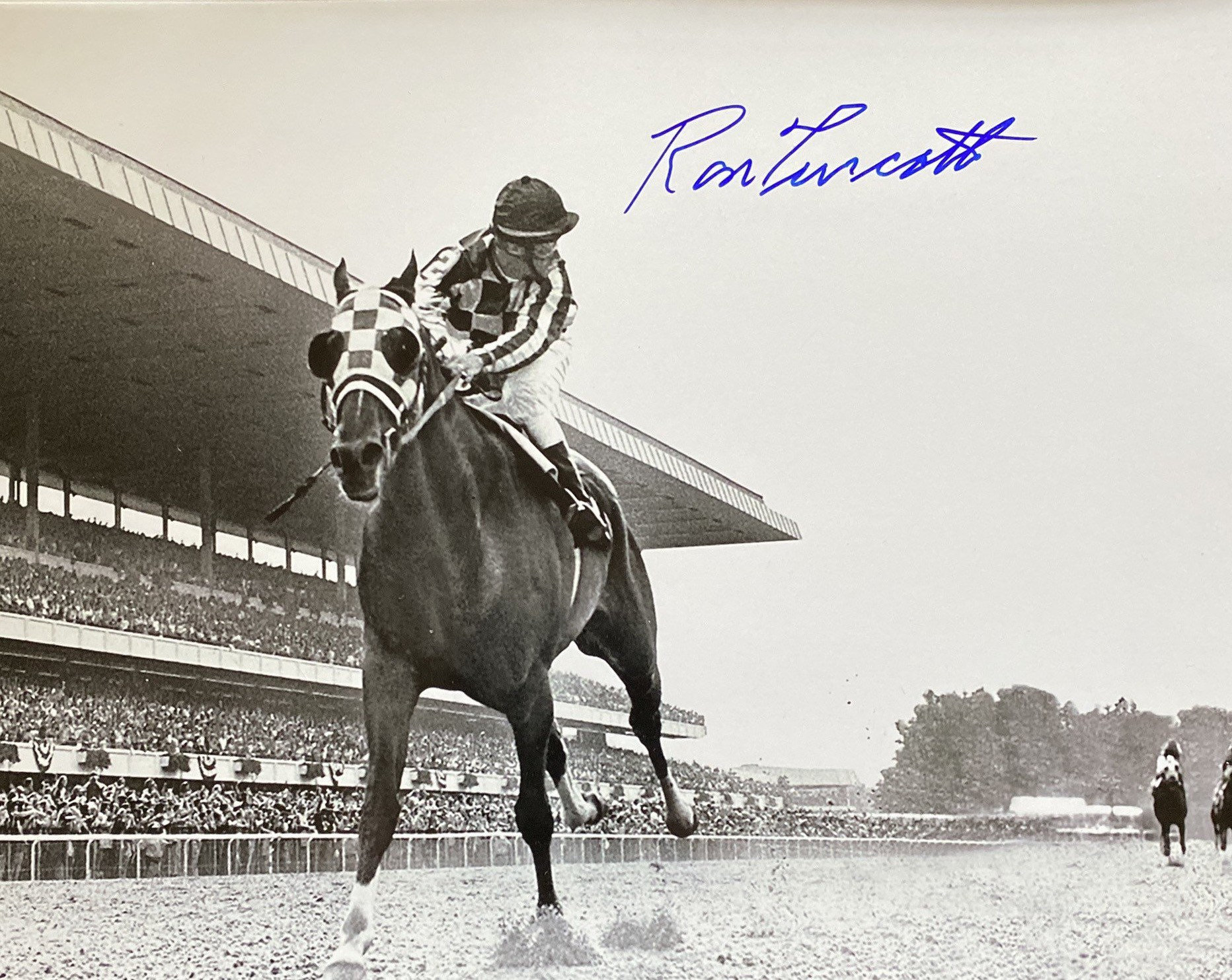 Famous Secretariat Picture: Own a Piece of History With This Classic Image
