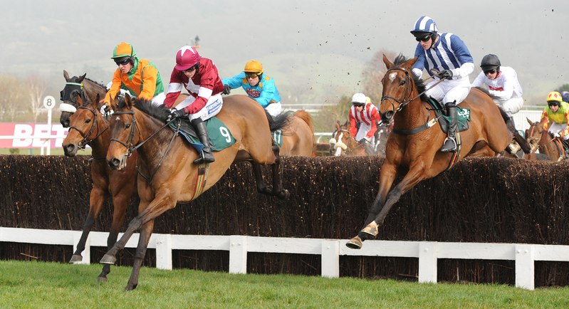 Betting for the Cheltenham Festival: What You Need to Know Before You Bet!
