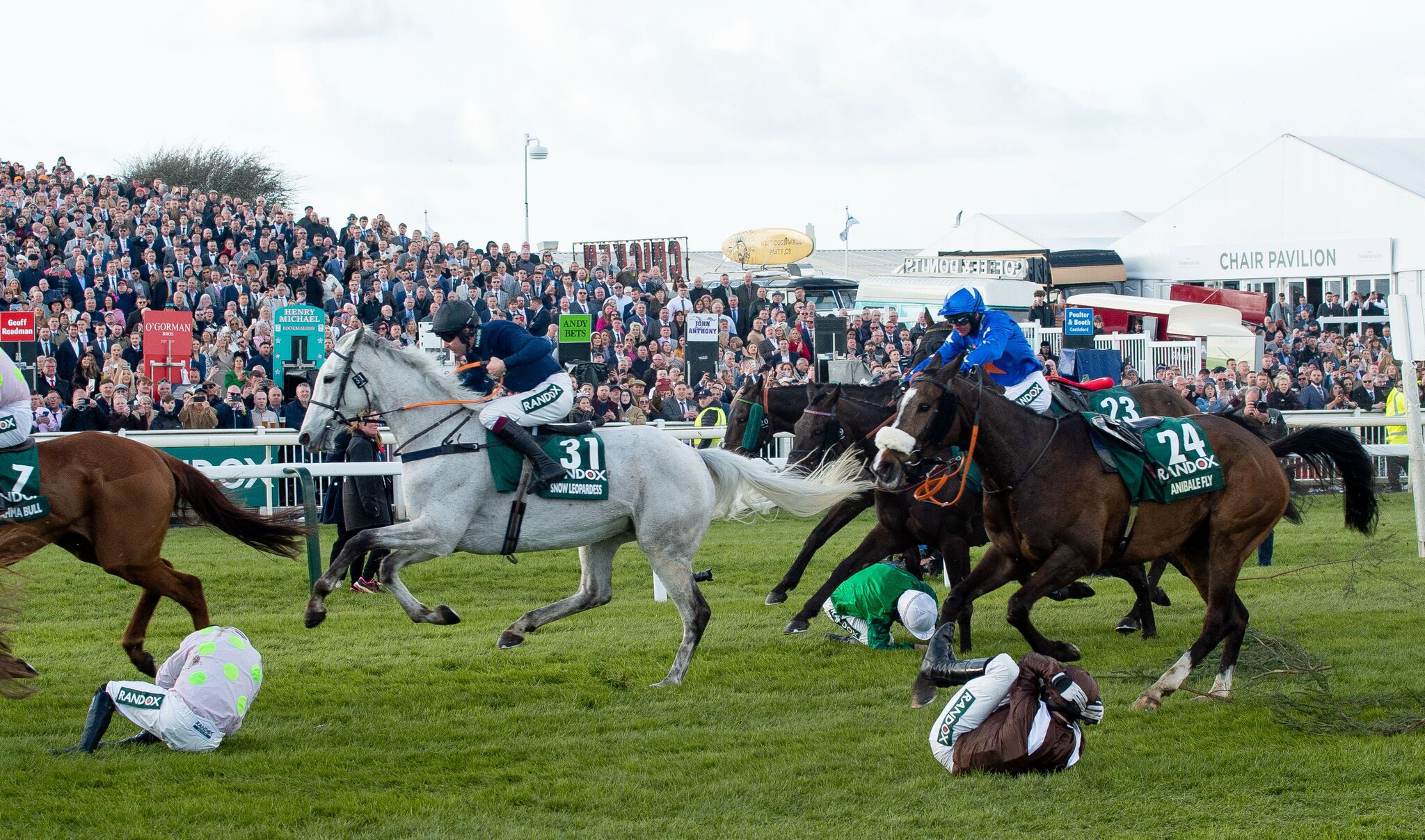 Yeats Race Explained: Your Easy Guide to the Famous Race.