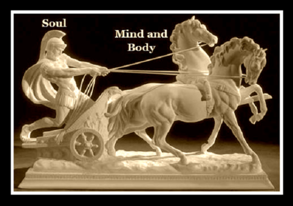 The 3 Headed Horse Explained: Separating Myth from Reality For You!