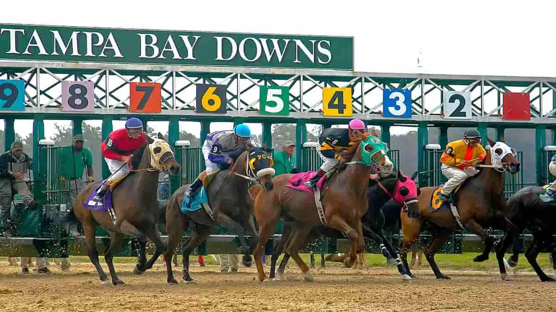 Sam F Davis Stakes Odds and Predictions: Who to Bet On?