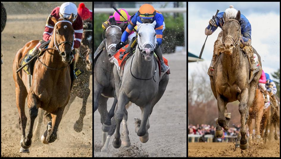 Kentucky Downs: Whats the Buzz? Your Easy Guide to All the Fun!