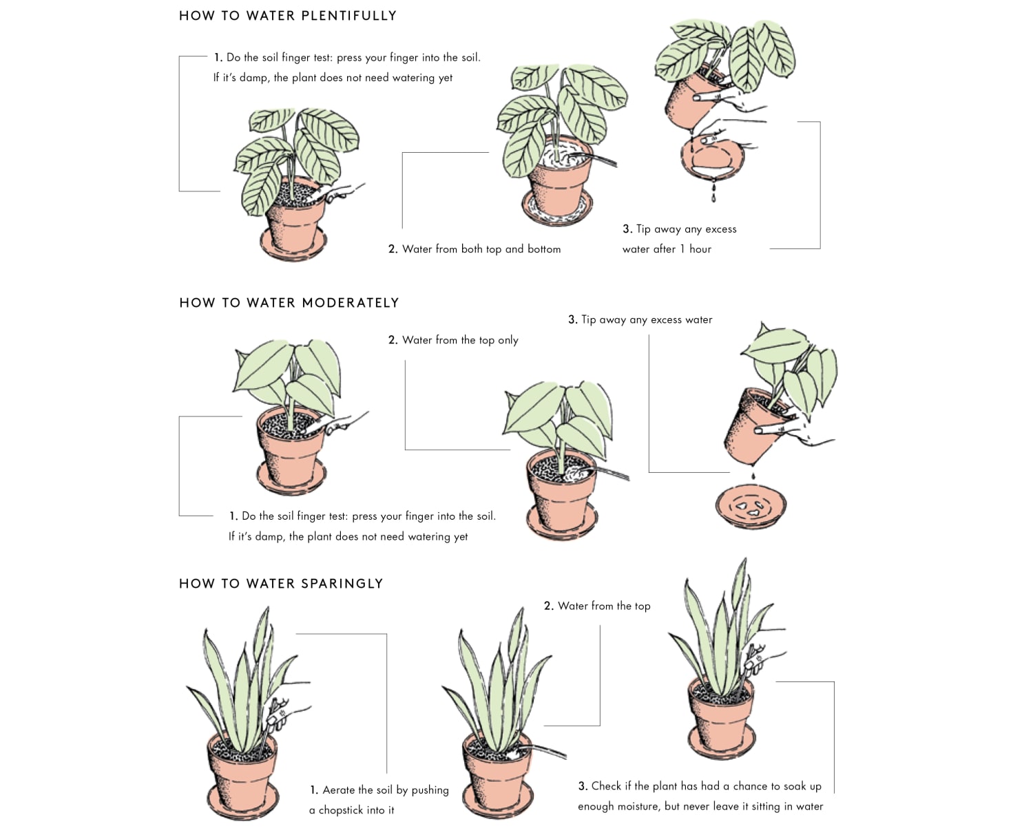 Hanf Uses: Surprising Ways This Plant Can Improve Your Life and the World Around Us