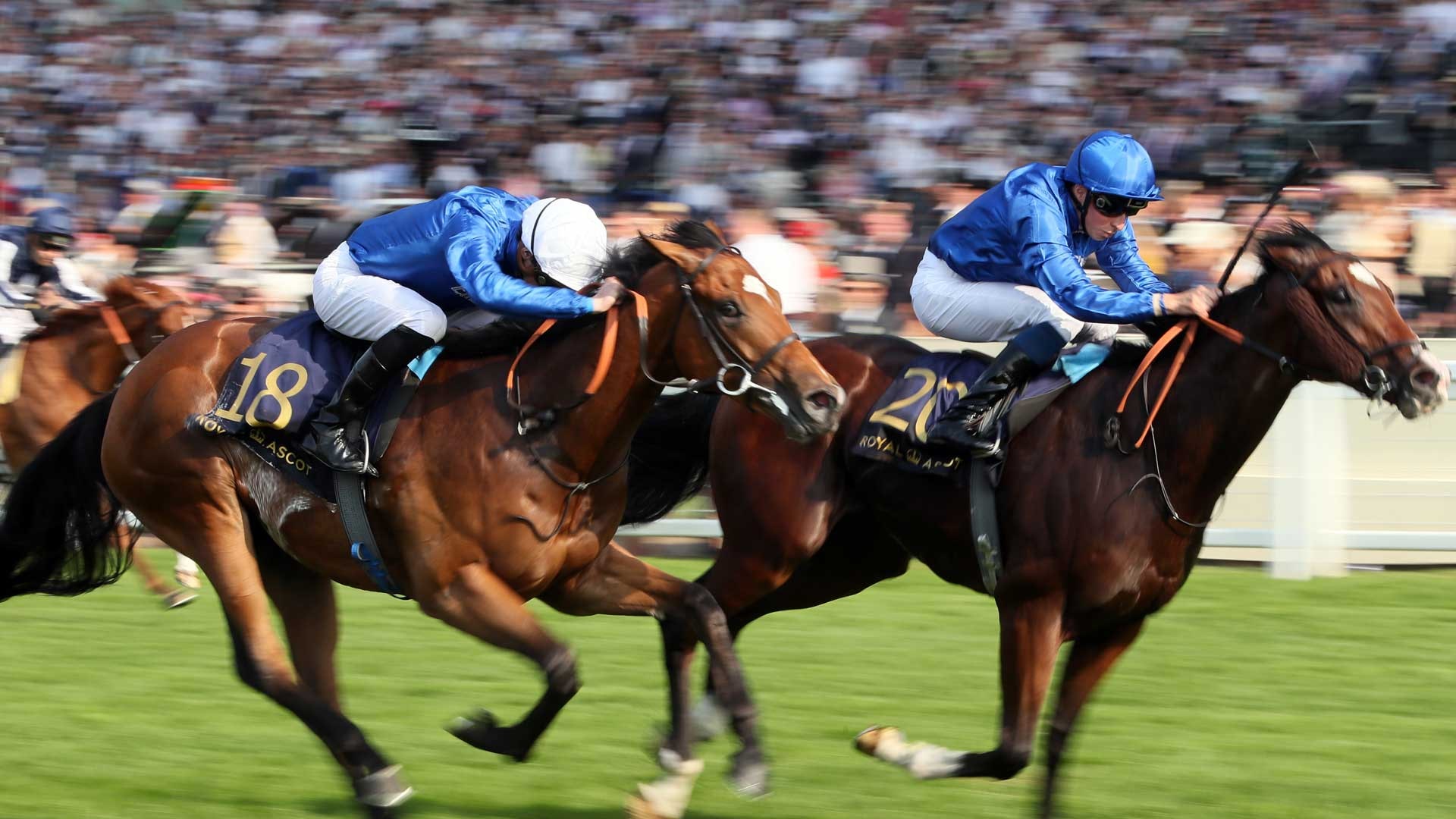 Racing Tips for Royal Ascot: Easy Ways to Pick Winners