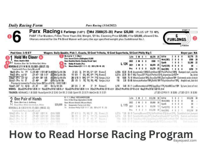 Parx Racing Jockey Standings Updated Daily: Stay Informed!