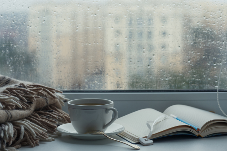 Why Are Rain Bringers Important? Discover how they help the world around us!