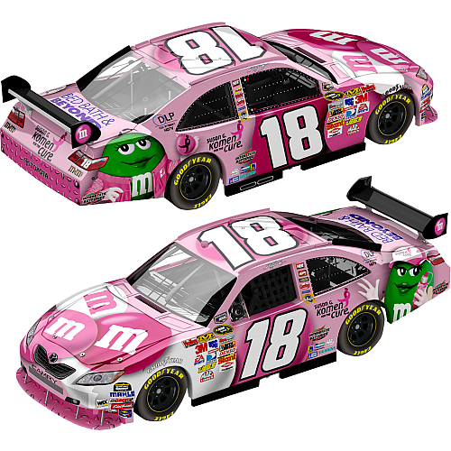 Why Nascar Pink Matters: How to Show Your Support (Simple Guide)