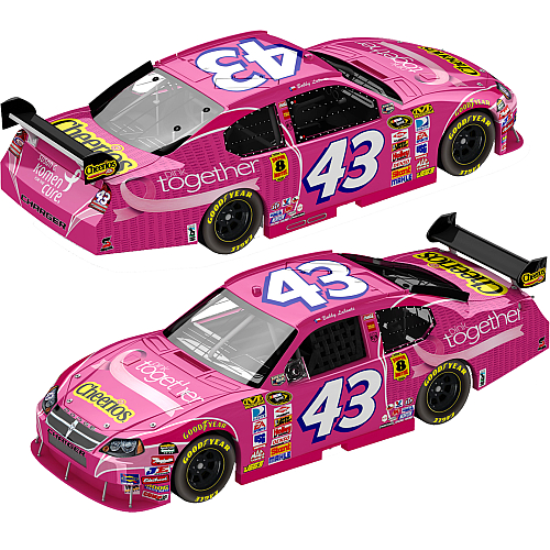 Why Nascar Pink Matters: How to Show Your Support (Simple Guide)