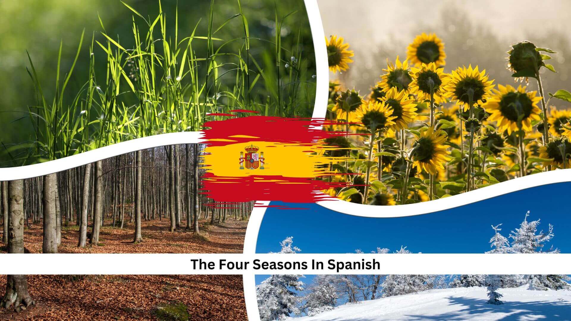 Last Season in Spanish: What Happened? (The Biggest Moments You Need to Know)