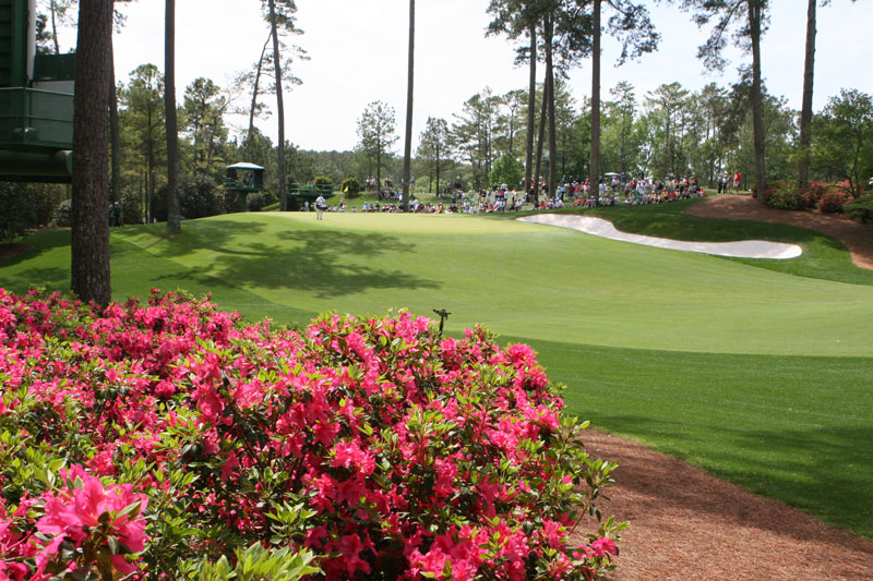 The grass at Augusta National: what kind is it and how do they maintain it?