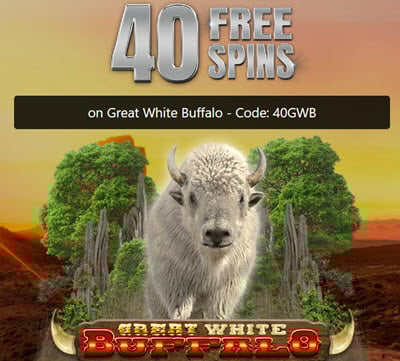 Big Dollar Casino No Deposit Bonus Codes: Get Free Spins & Cash Today!