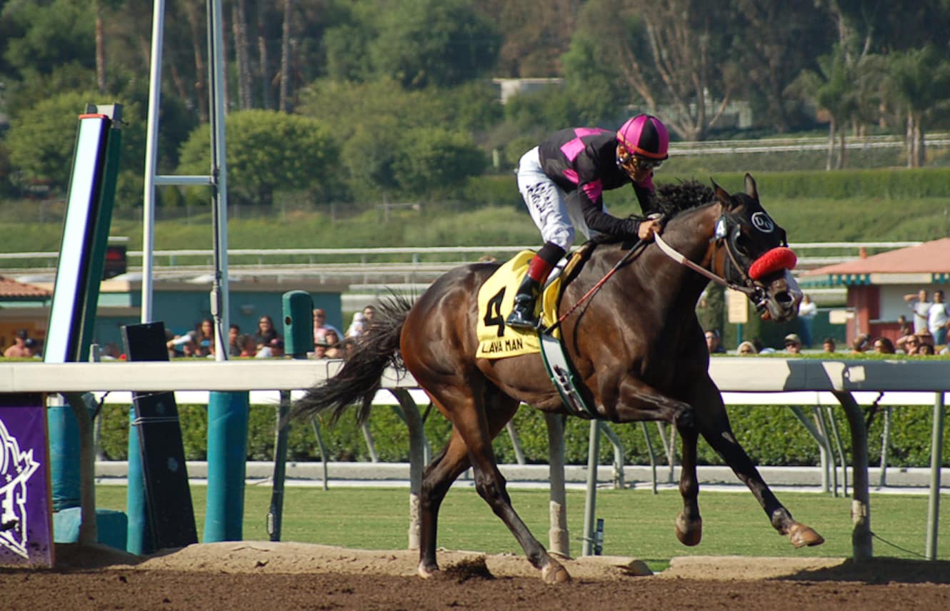 Want to Find Thoroughbred Racing Records? Easy Guide to Horse Racings Biggest Wins!