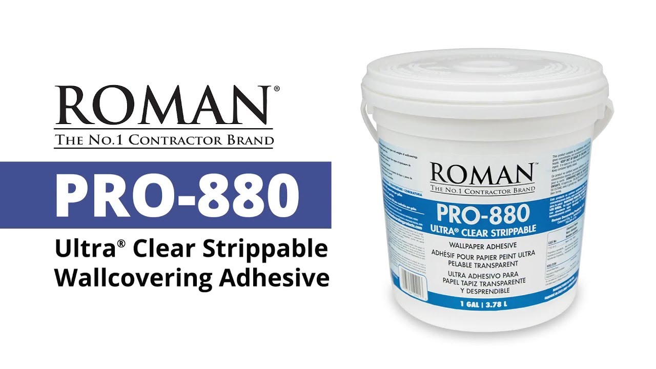 Get roman pro-880: User Guide, Tips, and Tricks Inside