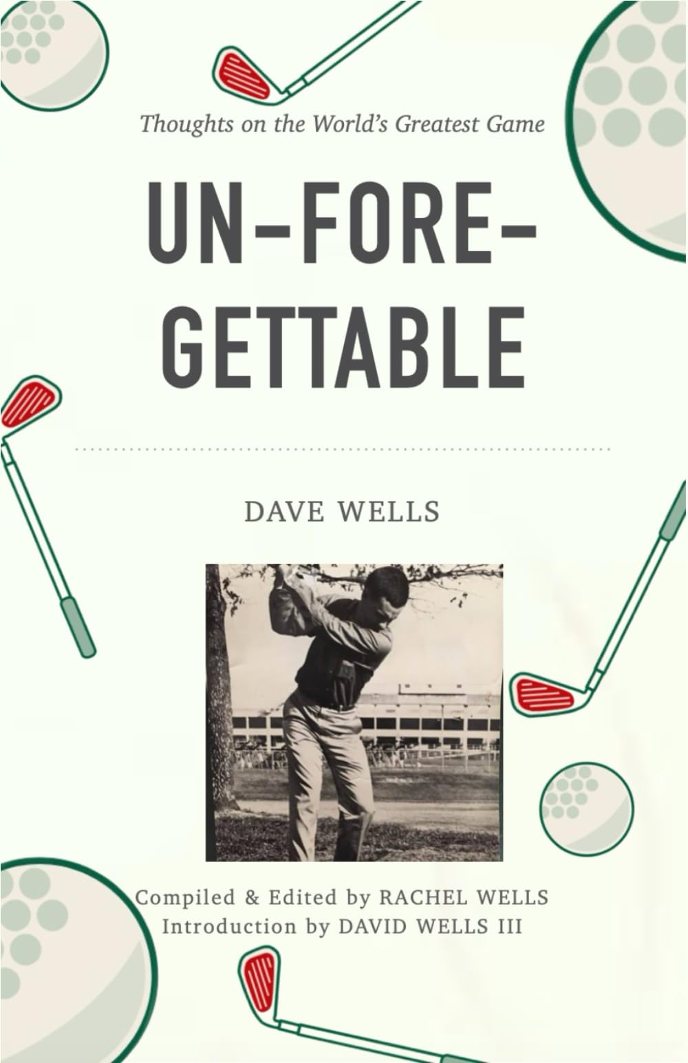 David Wells Golf: Learn the Basics & Lower Your Score Today.