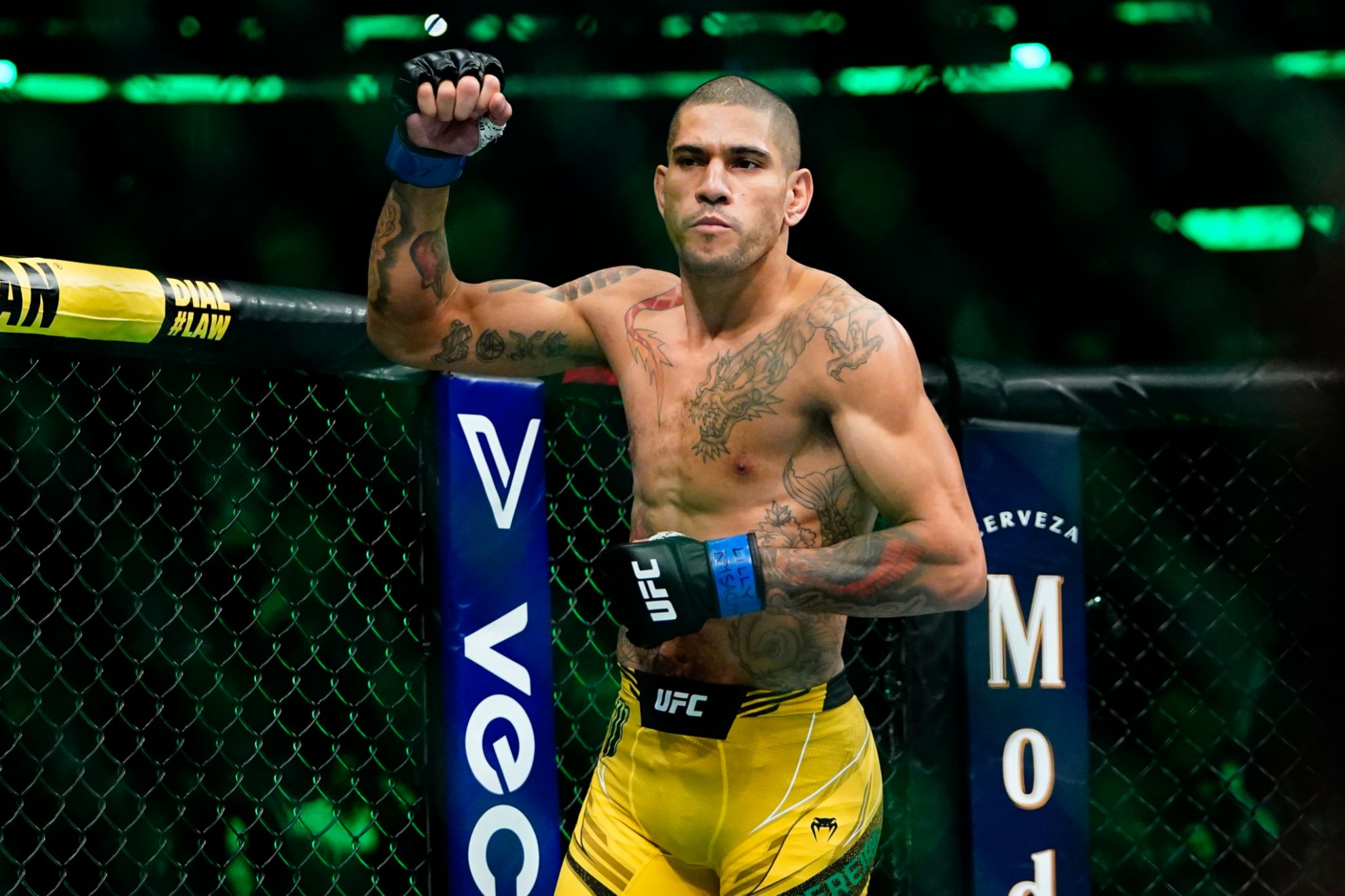 Does Alex Pereira Have Cancer? Addressing the Rumors About His Health Status