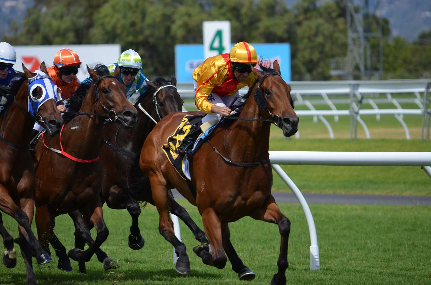 Want to Find Thoroughbred Racing Records? Easy Guide to Horse Racings Biggest Wins!