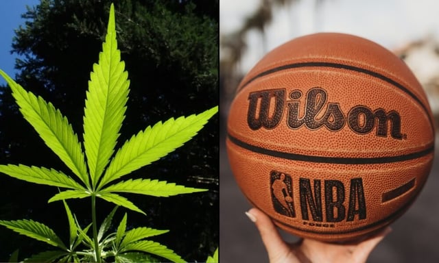 NBA and Weed: How Many Players Actually Smoke? (Surprising Stats)