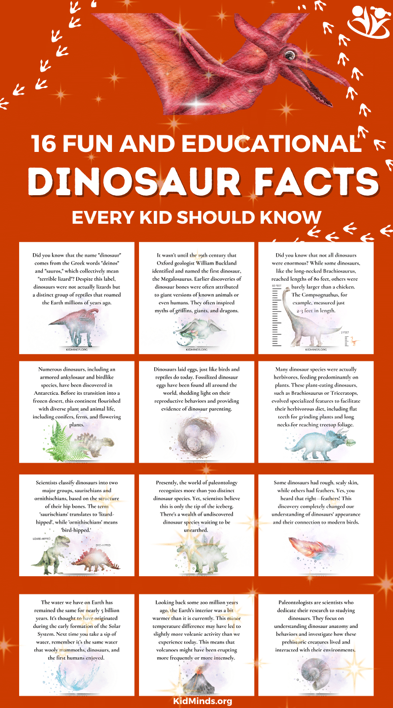 All About dinossum: Get the Simple Facts and Details Now.