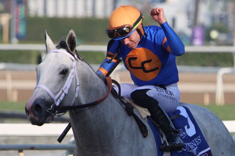 Top Thoroughbred Racing Records: See Whos Leading the Pack Now.