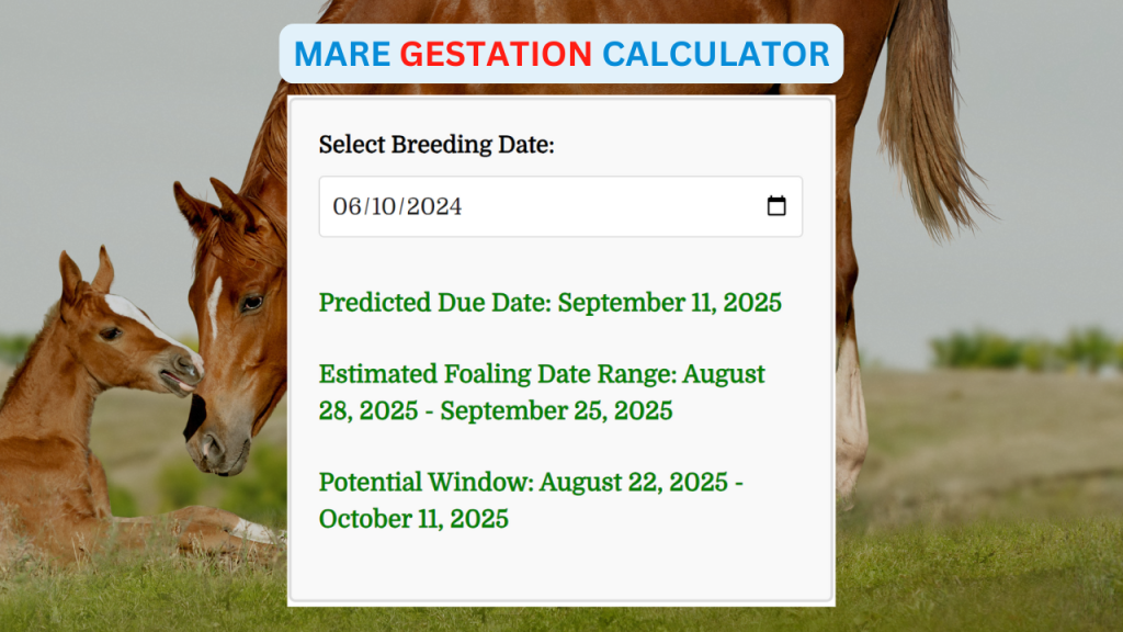 Mare Breeding Calculator: Easy Ways to Figure Out Your Mares Due Date!