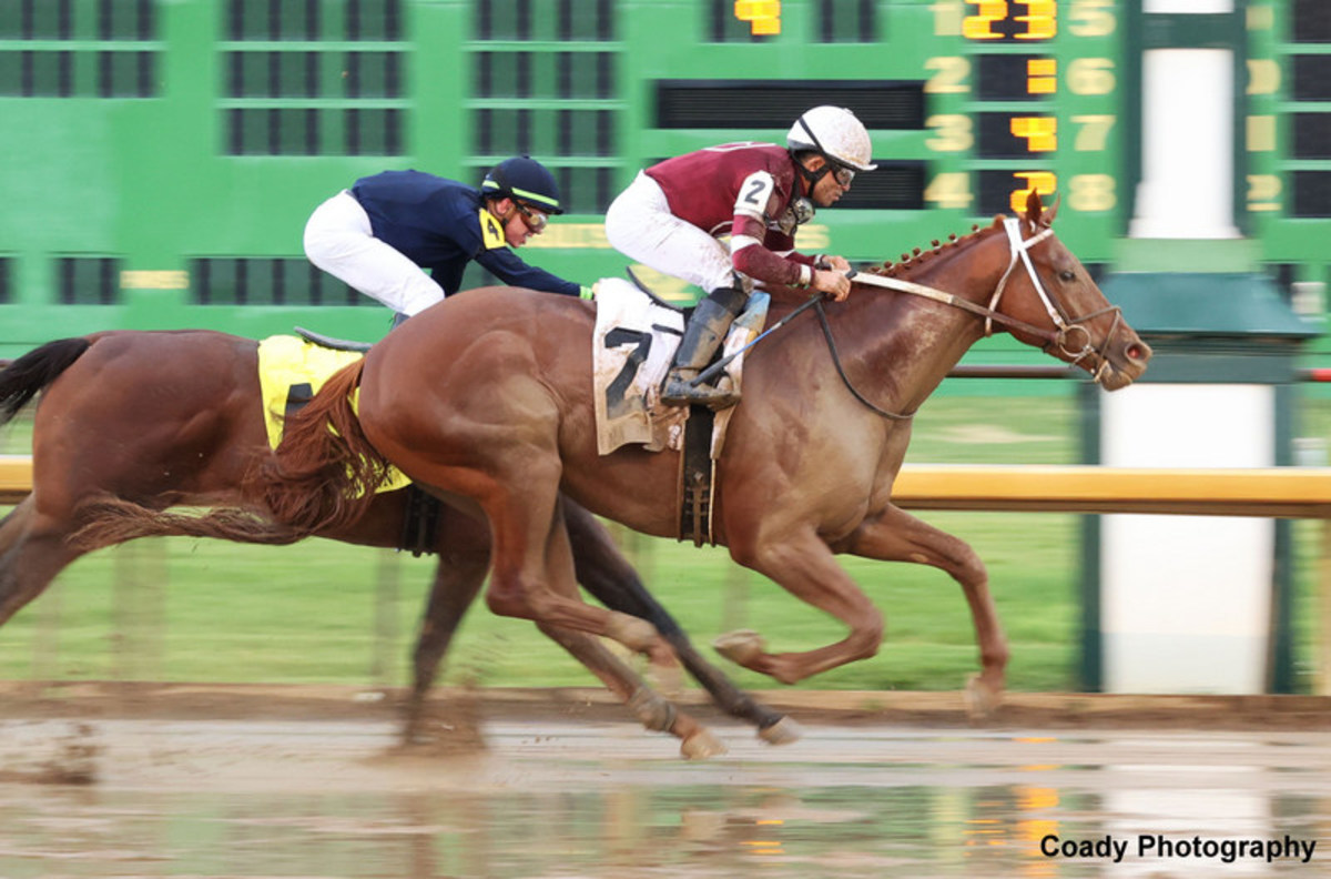 Winchell Thoroughbreds:The Horses,The Wins. (A big name in Horse racing)