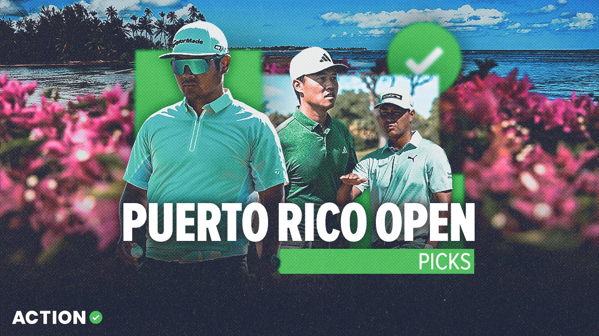 Is PR Open 2024 Free to Use? (Learn About Features and Pricing Details)