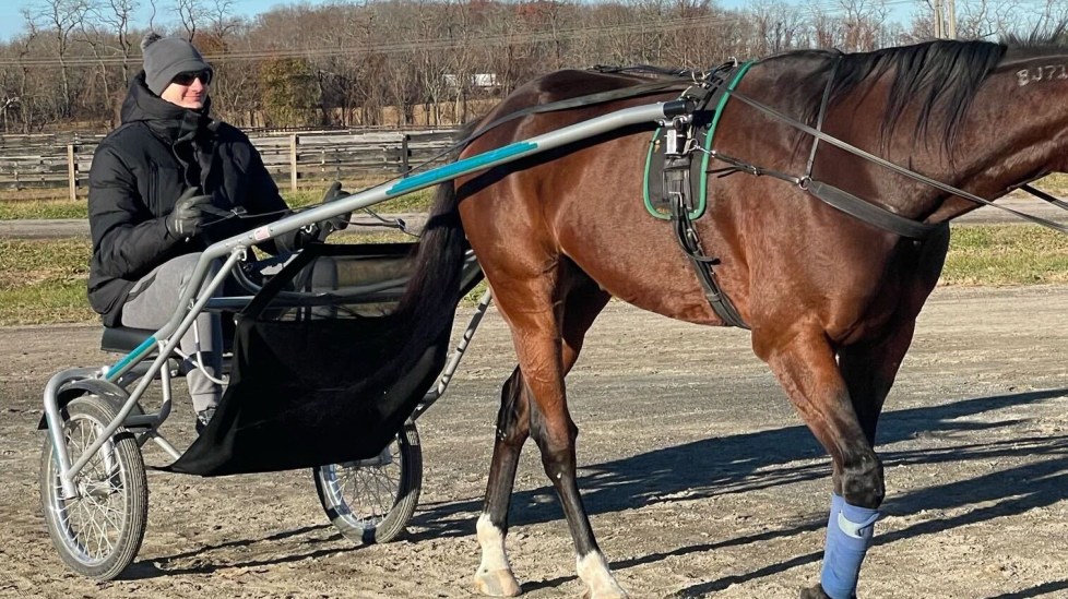 Nikola Jokic: From Basketball Superstar to Harness Racing Enthusiast?
