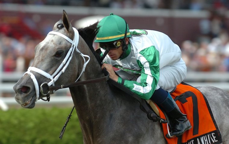 Want to Find Thoroughbred Racing Records? Easy Guide to Horse Racings Biggest Wins!