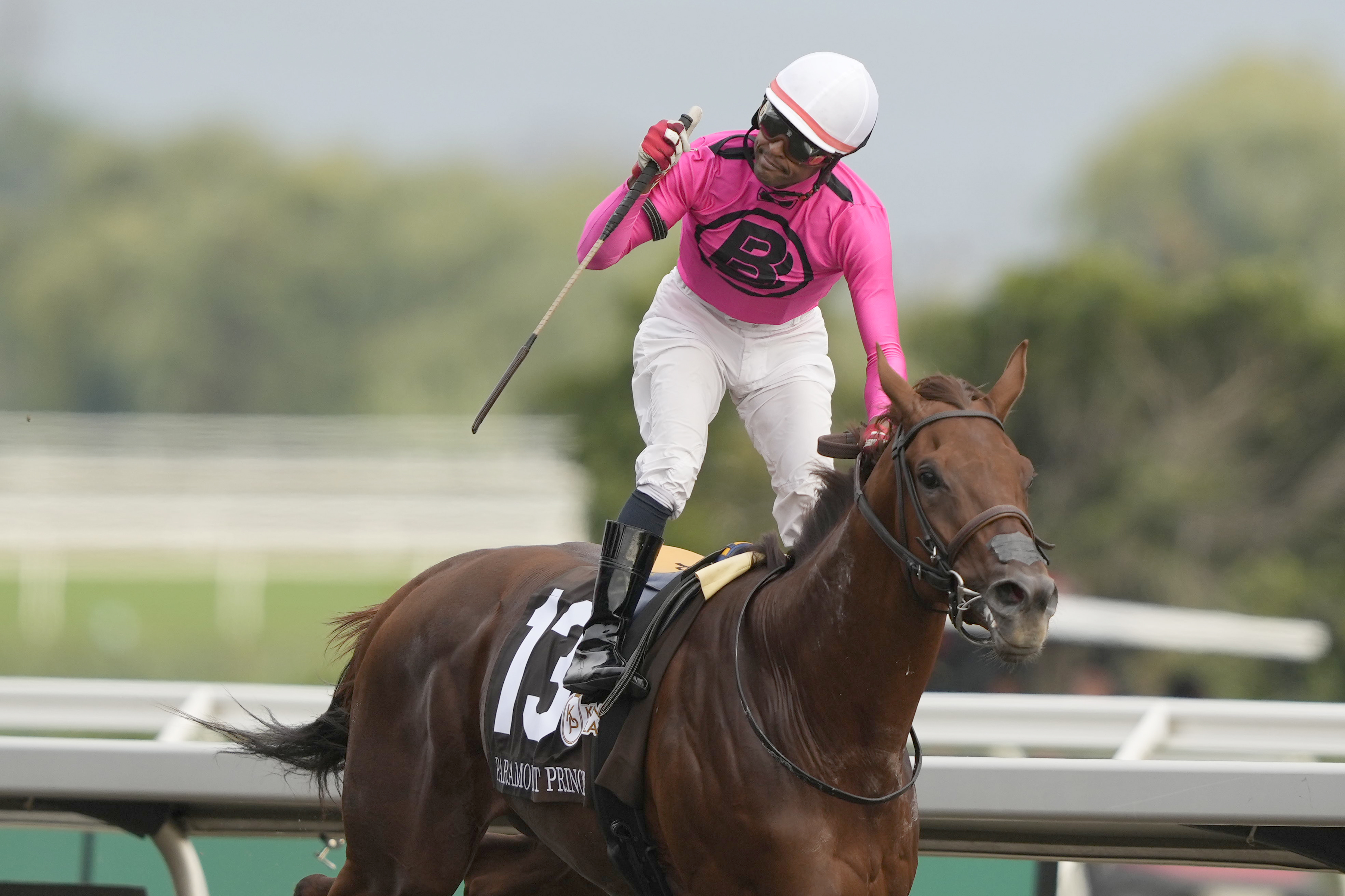 Who is running in the Prince of Wales Stakes? Key Contenders!